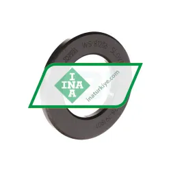 INA WS81206