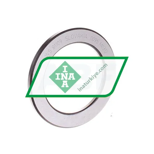 INA WS81109