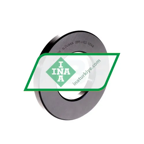 INA WS89311