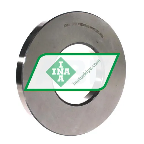 INA WS89418