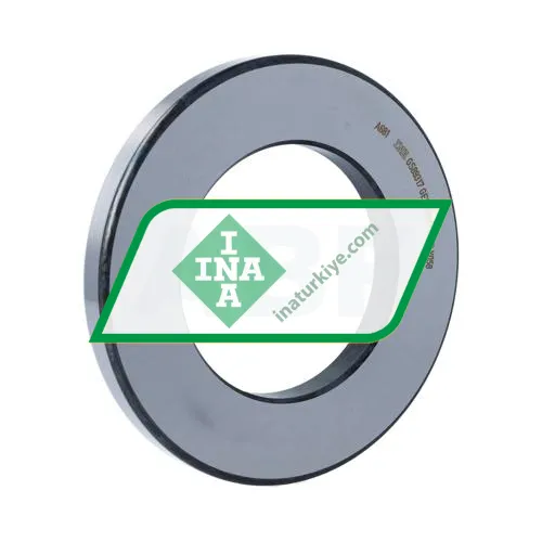 INA GS89317