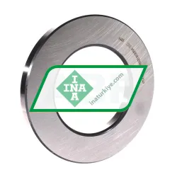 INA WS89318