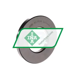 INA WS89308