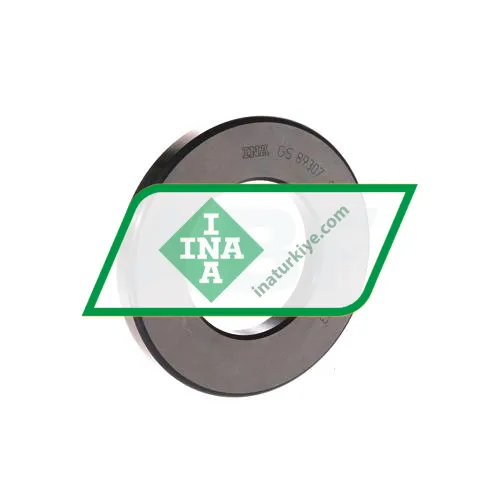 INA GS89307