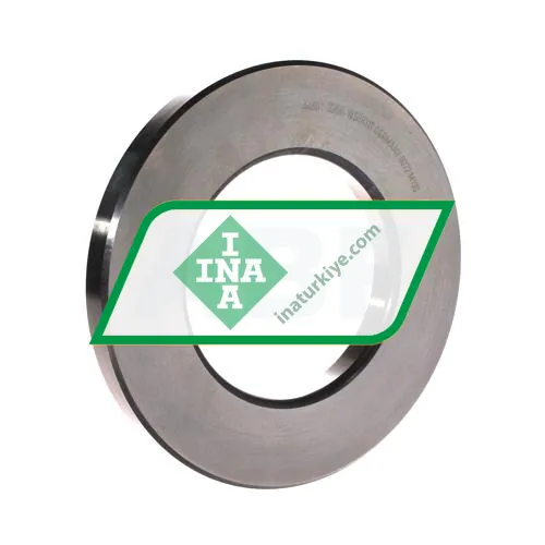 INA WS89317