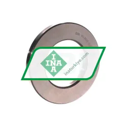 INA WS89313