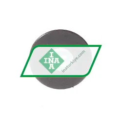 INA TWA411