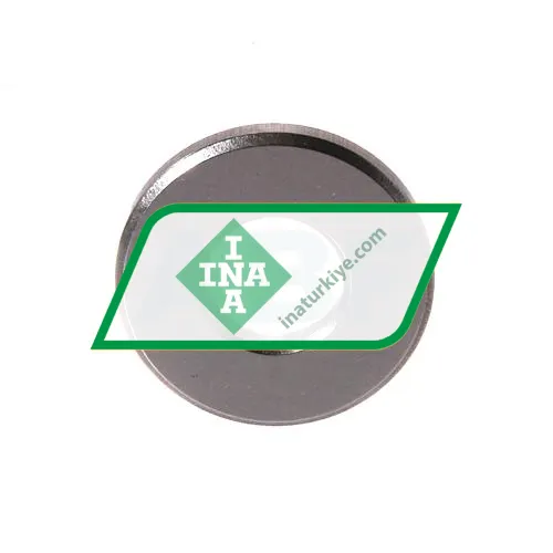 INA LS1024