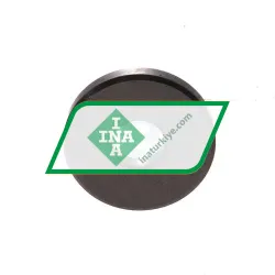 INA LS0619