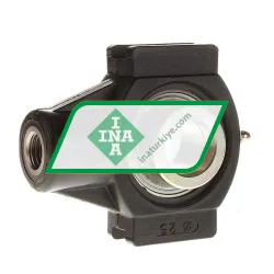 INA PTUE25-TV-FA125-5 rulman resim 2