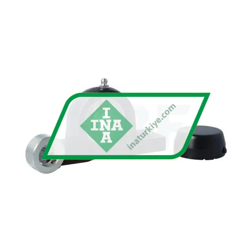 INA PASE20-TV-FA125-5