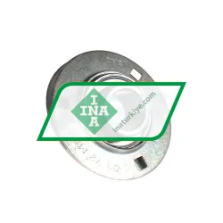 INA RAY35-XL