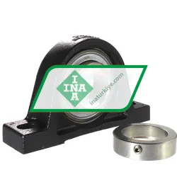 INA PASE60-N-FA106