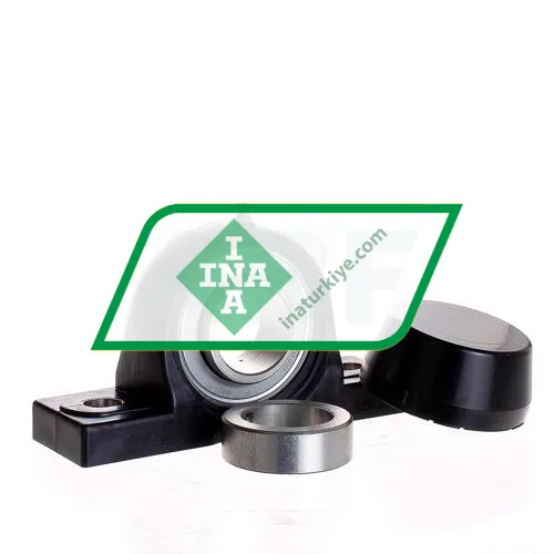 INA PASE40-TV-FA125-5