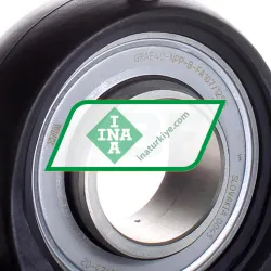 INA PASE40-TV-FA125-5 rulman resim 2
