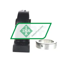 INA RASE60-XL-N-I rulman resim 2