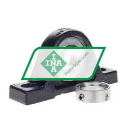INA PASE30-N-FA106-I