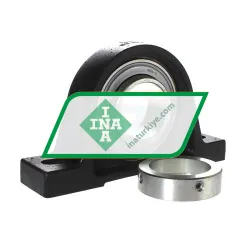 INA PASE60-N-FA106-I