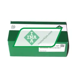 INA GEHASE05-GG-N-FA125-1 rulman resim 4