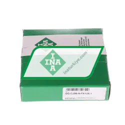 INA GG-CJ06-N-FA125-1 rulman resim 3