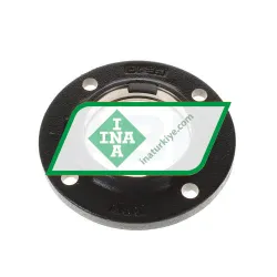 INA GG-FE10