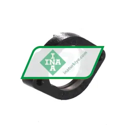 INA GEHGLCTE04-GG>A