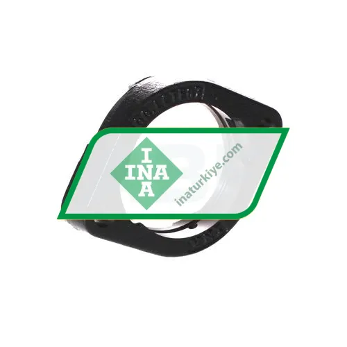 INA GEHGLCTE07-GG>A