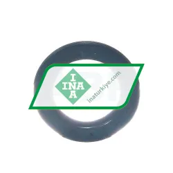 INA G16X25X3