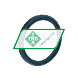 INA G42X52X4-C