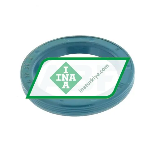INA G22X30X4