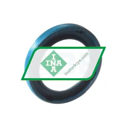 INA G17X25X3-C rulman resim 2