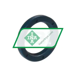 INA G20X28X4-C