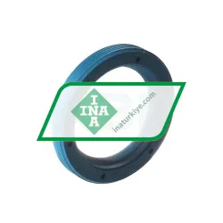 INA G19X27X4-C