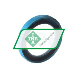 INA G19X27X4-C rulman resim 2
