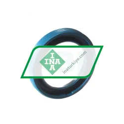 INA G18X26X4-C rulman resim 2