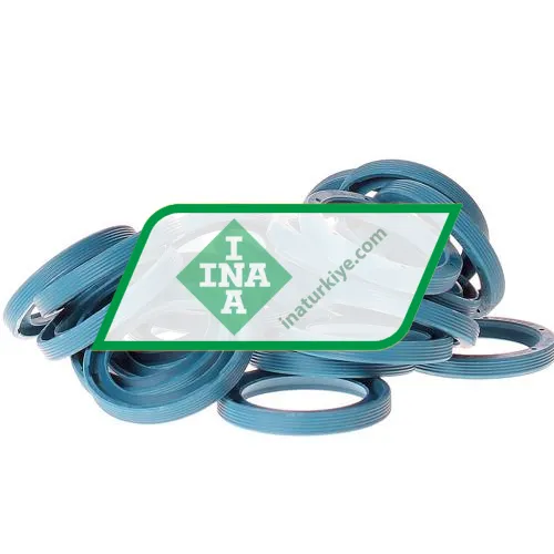 INA G22X30X4-C