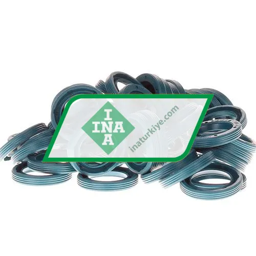 INA G12X18X3-C