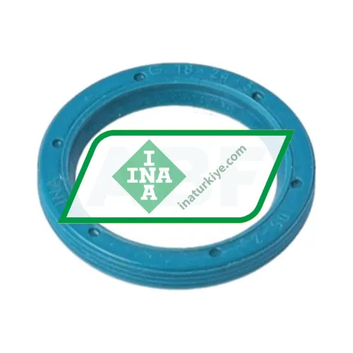 INA G18X24X3