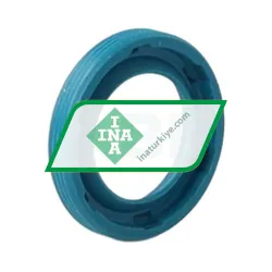 INA G12X19X3 rulman resim 2