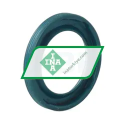 INA G17X25X3A rulman resim 2