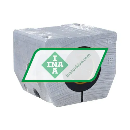 INA KGNS30B PP AS