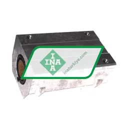 INA KTSS30-PP-AS