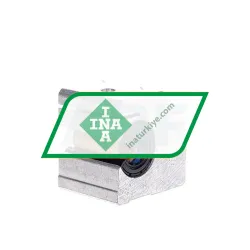 INA KGSCS20-PP-AS