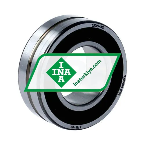 INA G3005-2RS