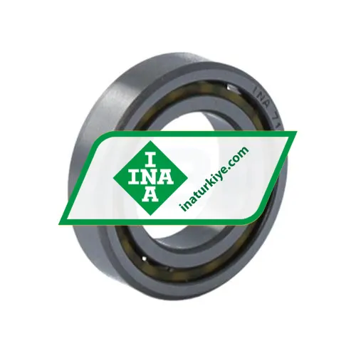 INA 71801