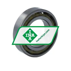 INA 71801 rulman resim 2