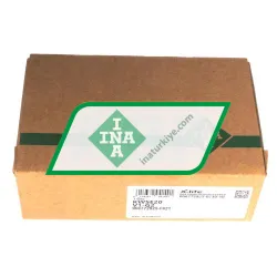 INA KWSE20-V1-G2 rulman resim 4