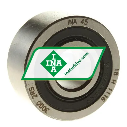 INA 3000-2RS