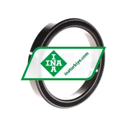 INA 3820-2RS