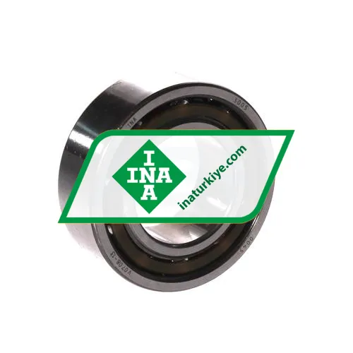 INA 3005